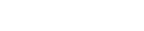 FREE RIDER